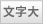 文字大